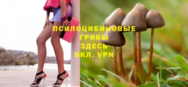 СК Пролетарск