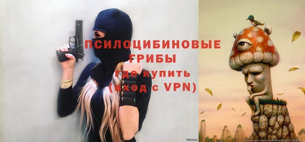 тгк Михайлов