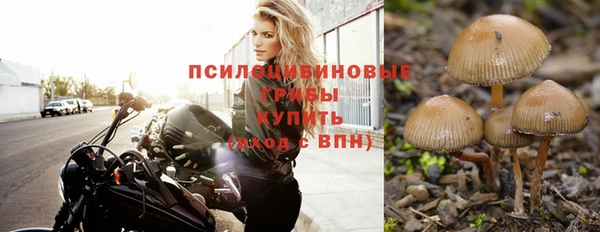 тгк Михайлов