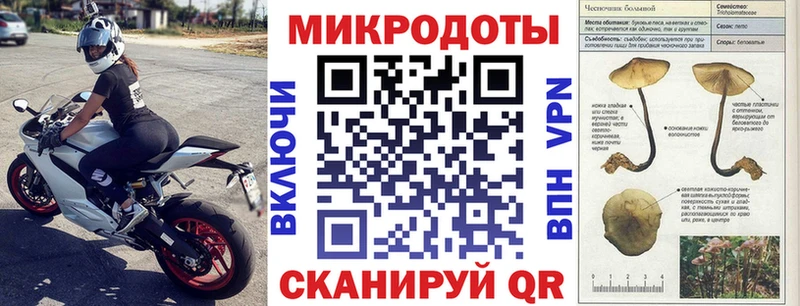 MEGA как войти  Клинцы  Галлюциногенные грибы MAGIC MUSHROOMS 