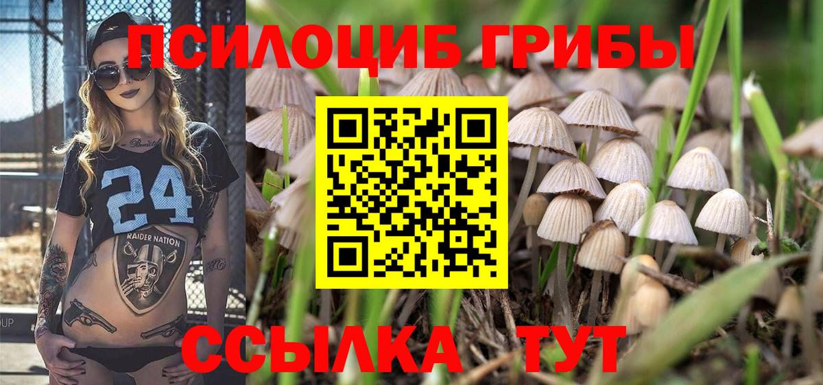 Псилоцибиновые грибы ЛСД  Вход с VPN  где найти   Клинцы 