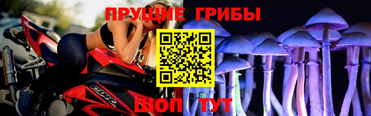 Псилоцибиновые грибы Cubensis  Галлюциногенные грибы мухоморы  Клинцы 